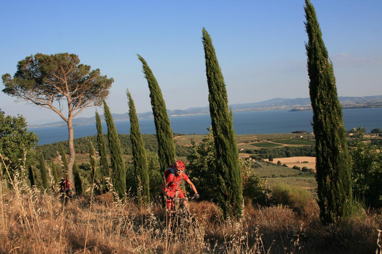 Countryhouse Villa Rey Panicale Dış mekan fotoğraf